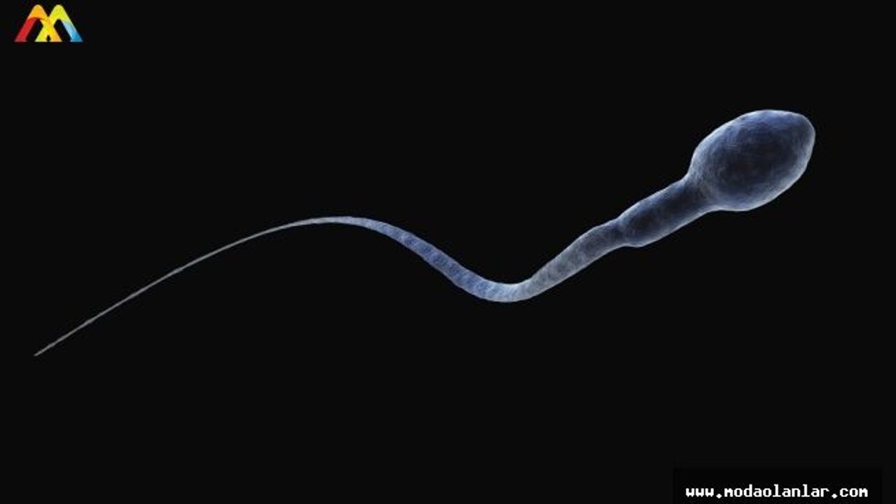 Sperm Sağlığını Korumak İçin Öneriler ve Uyarılar