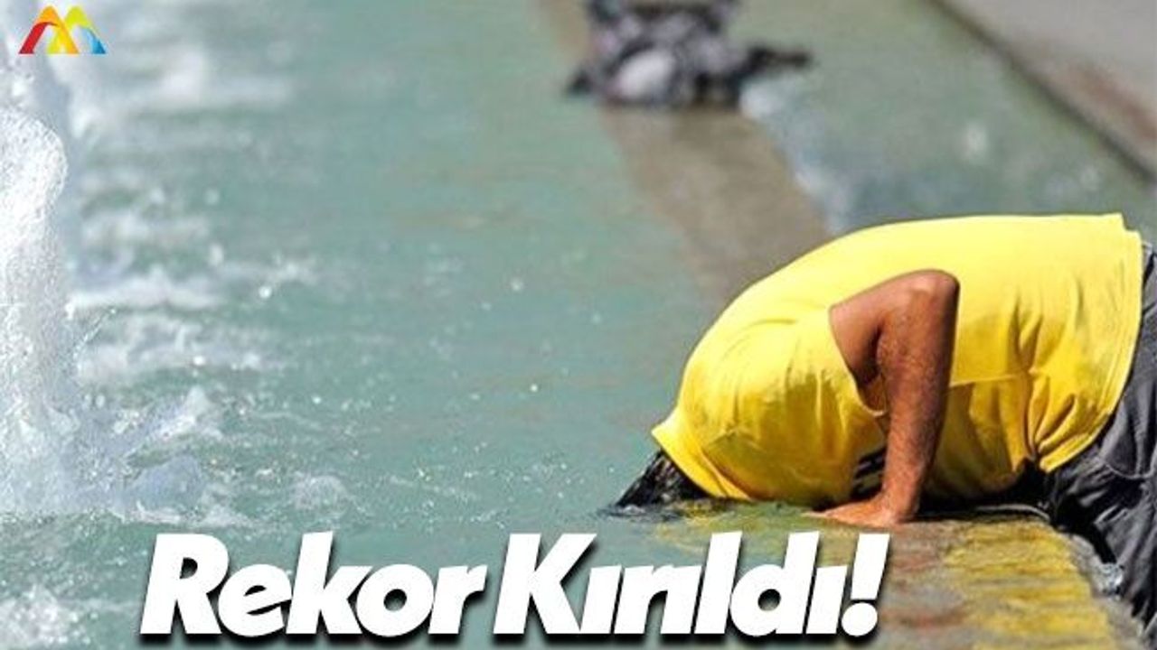 2016 Yılında Sıcaklık Rekorları Kırıldı!