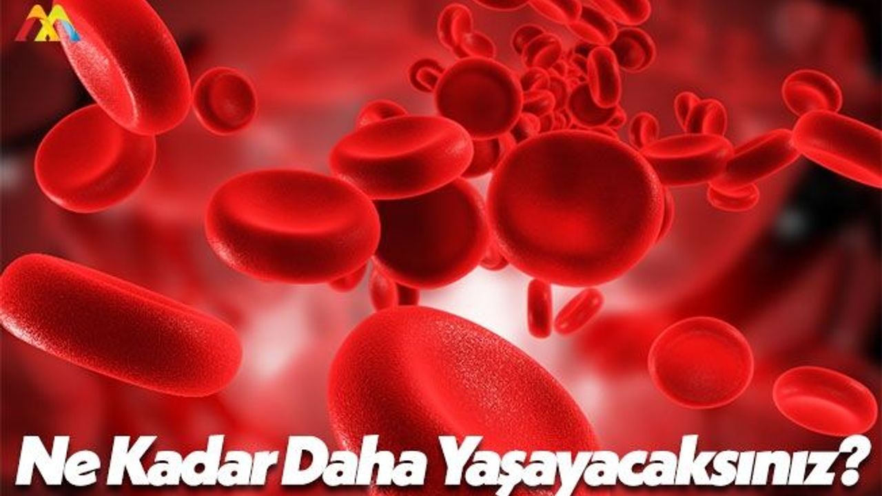 ABD’li Bilim Adamları Ne Kadar Yaşayacağınızı Biliyor!