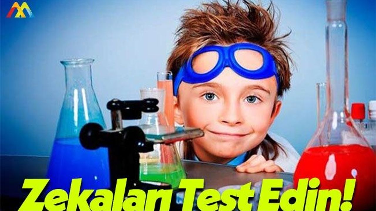 Annelerin Çocukların Zeka Gelişimi Hakkında Dikkat Etmesi Gerekenler!
