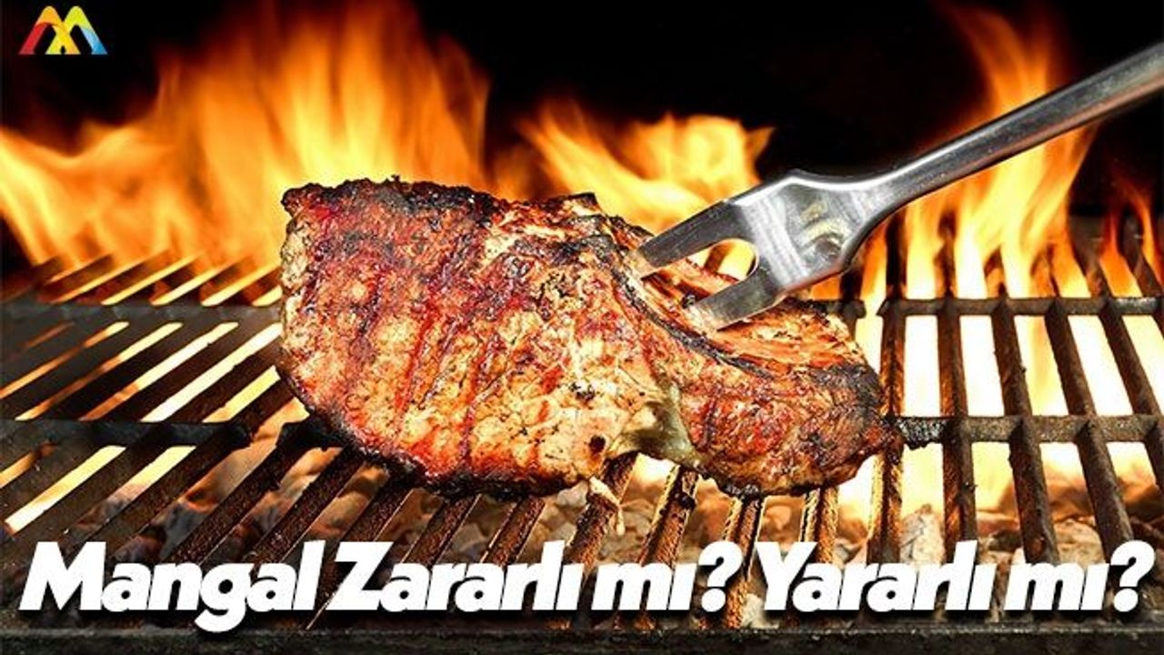 Mangalın İnsan Sağlığına Zararı mı Var? Yararı mı Var?