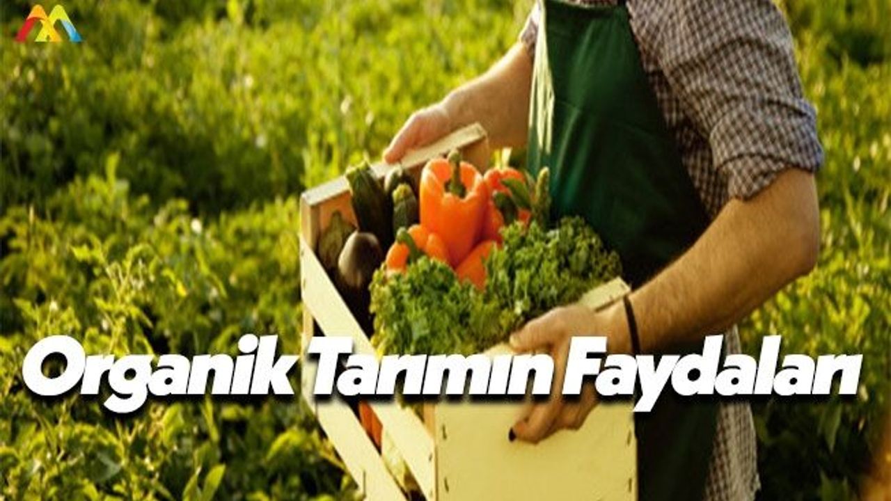 Organik Beslenmenin Yaşam Boyu Önemleri ve Yararları!