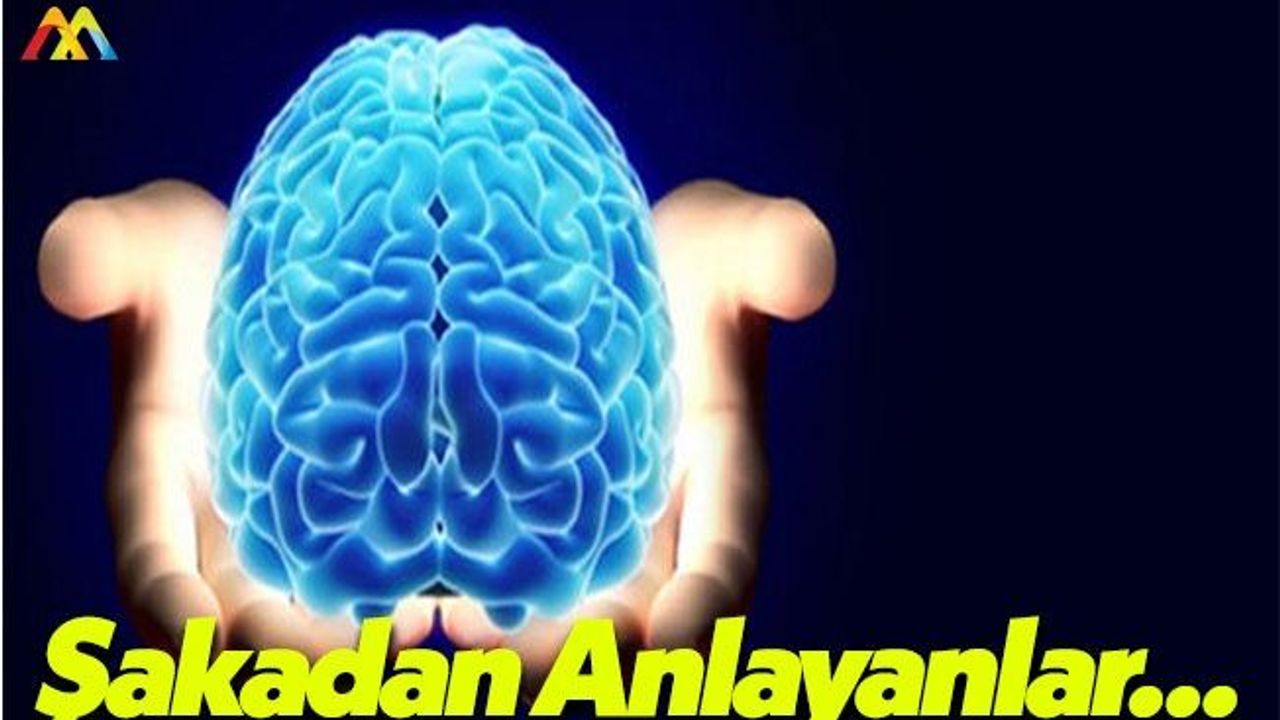 Viyana Tıp Fakültesi: Şakadan Anlayanlar Daha Zeki Oluyorlar!