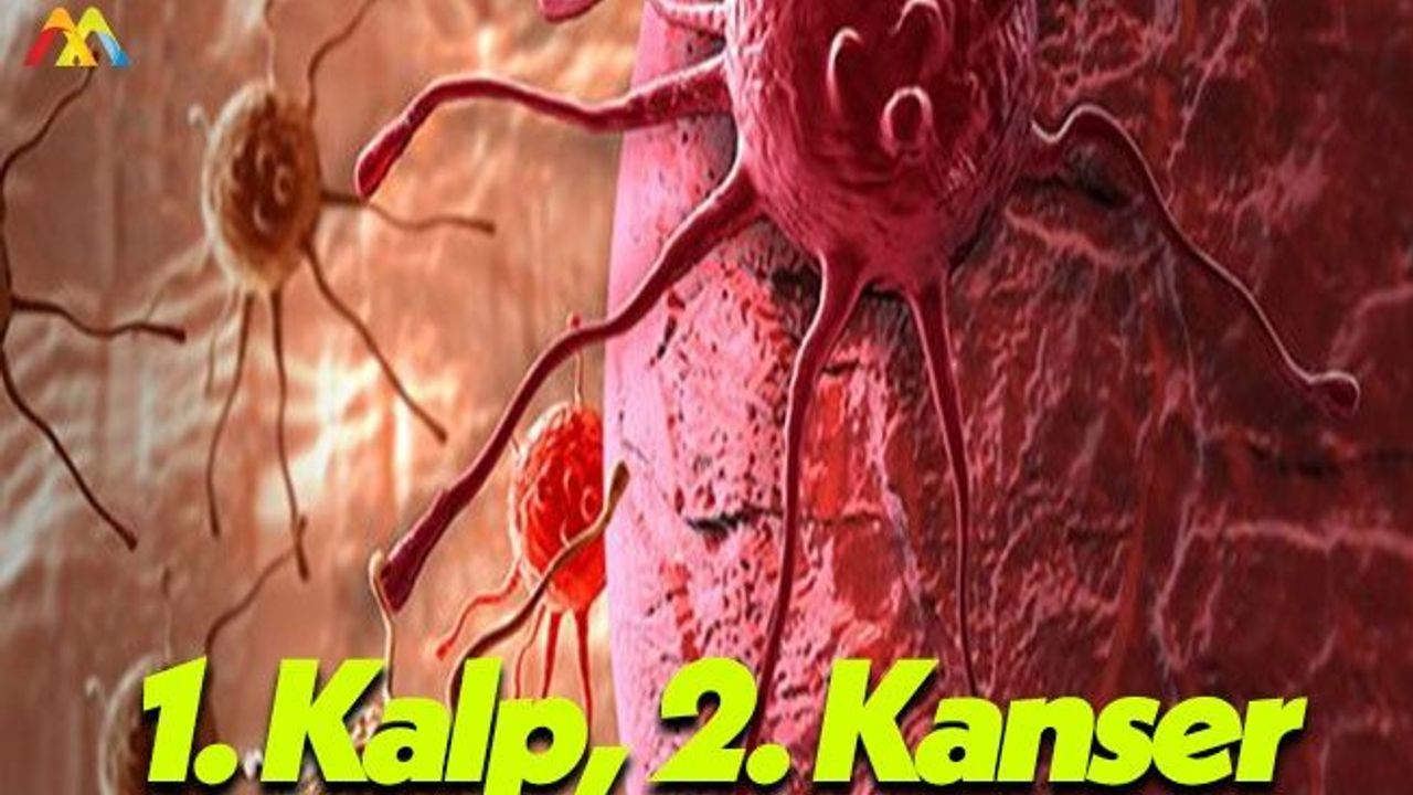 Kanser Gerçekten Ölümcül Bir Sağlık Sorunu!