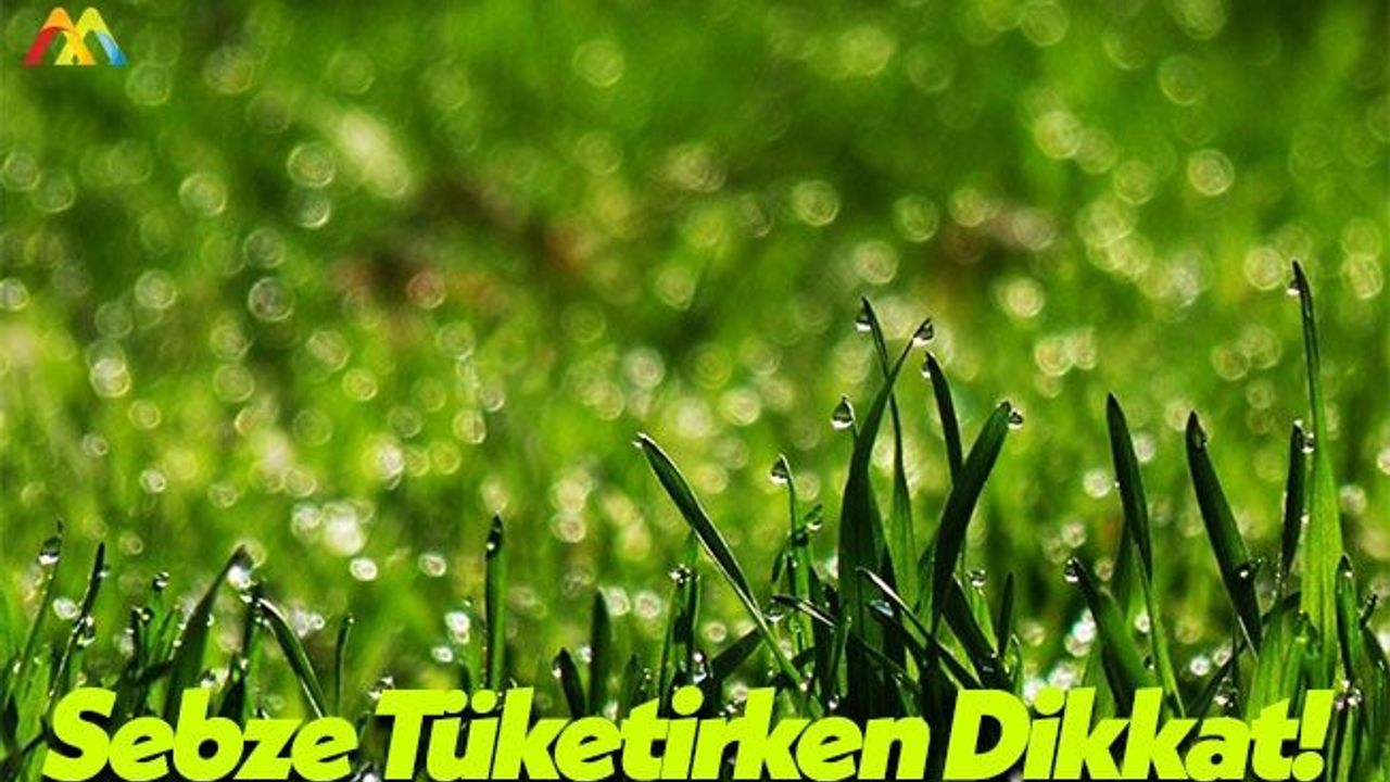 Sürekli Salata Yemek Bitkin Bırakıyor!