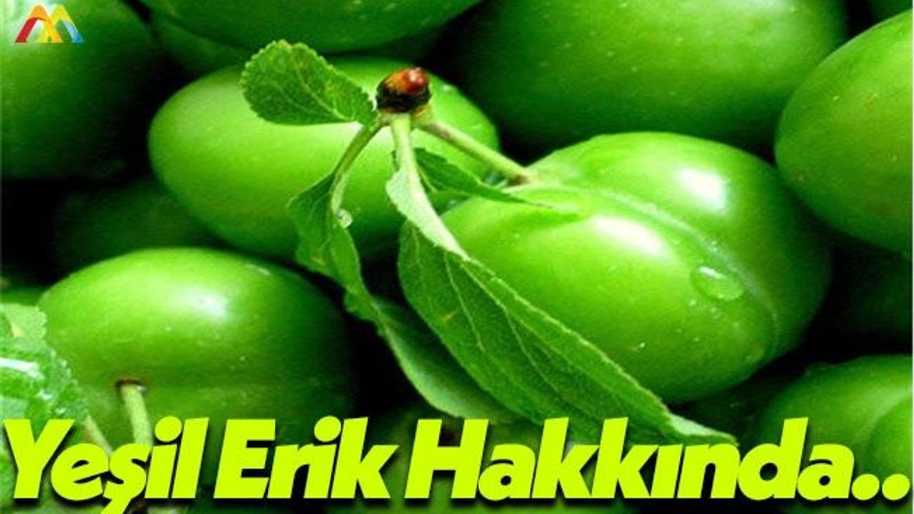 Yeşil Erik Hakkında Doğrular ve Yanlışlar!
