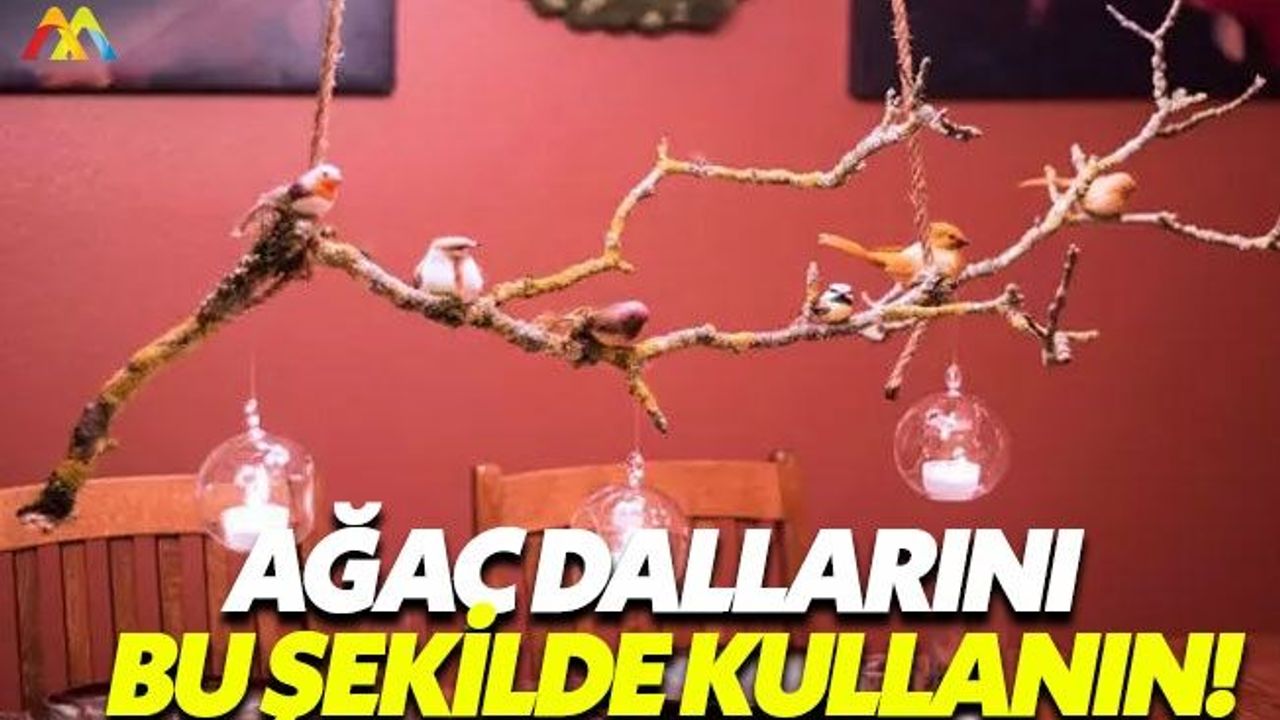 Ağaç dallarını dekorasyonda kullanmanın yöntemleri