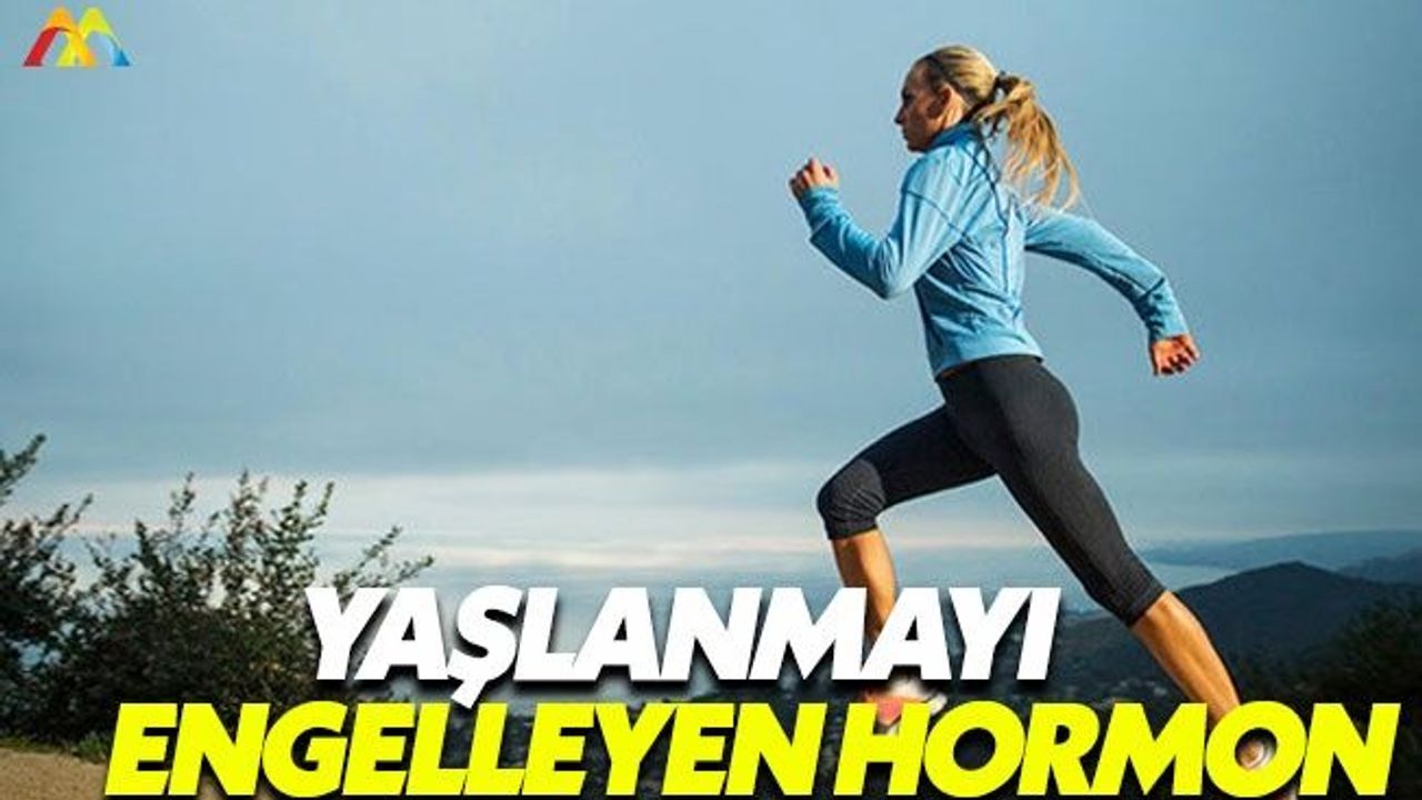 Sağlığımızı koruyan hormonlar: İrisin hormonu