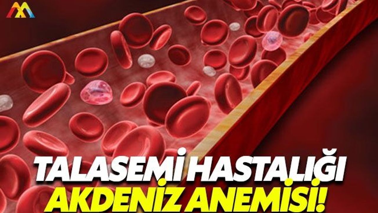 Talasemi hastalığı ülkemizde sık görülüyor