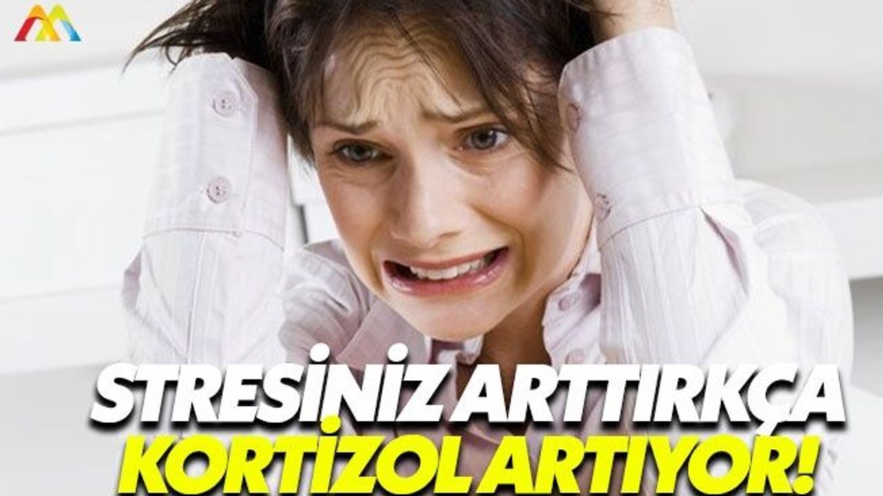 Sağlığımızı koruyan hormonlar: Kortizol