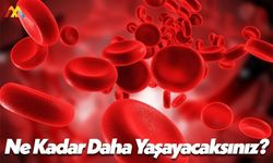 ABD’li Bilim Adamları Ne Kadar Yaşayacağınızı Biliyor!