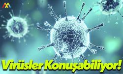 İsrail Weizmann Enstitüsü Moleküler Genetik Bölümü: Konuşabiliyorlar!