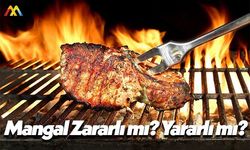 Mangalın İnsan Sağlığına Zararı mı Var? Yararı mı Var?