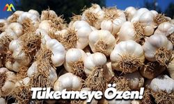 Sarımsak Tüketmeye Özen Gösterin!