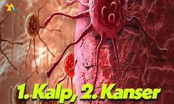 Kanser Gerçekten Ölümcül Bir Sağlık Sorunu!