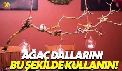 Ağaç dallarını dekorasyonda kullanmanın yöntemleri