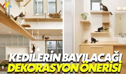 Kediler bu dekorasyon önerisine bayılacak